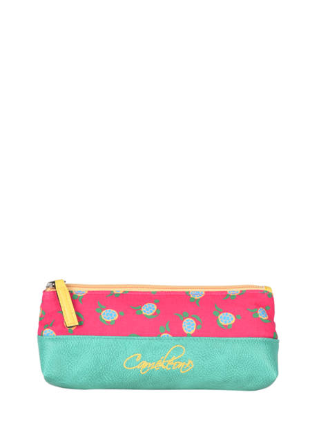 Cameleon Trousse Retro Ret-trou 40S GREEN TURTLE