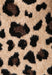 Foulard Lollipops Teumani E321010 20DX 2 TONS