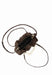 Sac bandouliere Lollipops Teana S321285 H0DX MARRON