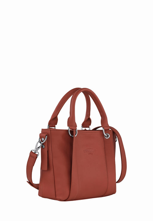 Longchamp Sac a main Longchamp 3d light 10197hfa 404 chataigne 404 CHATAIGNE