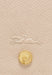 Sac bandouliere Longchamp Epure 10253hyz 555 PAPIER